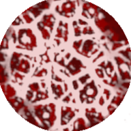 A dark red orb filled with bright red and pale red splotches running through the entire orb, akin to veins or exposed flesh. Around the orb is a dark red outline.